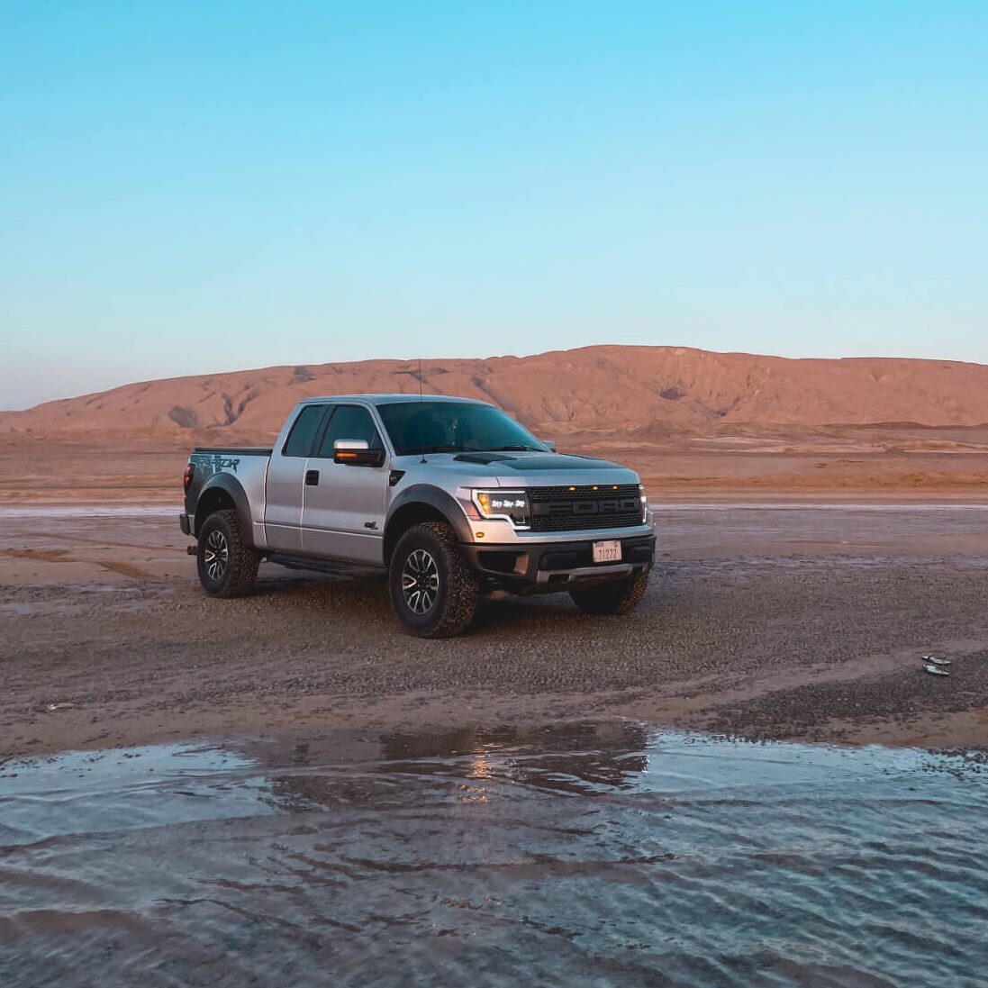 Raptor sitting on the beach in NEOM, Saudi